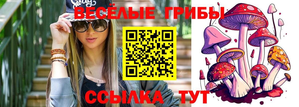 Мурманск  Галлюциногенные грибы ЛСД  Вход с VPN 