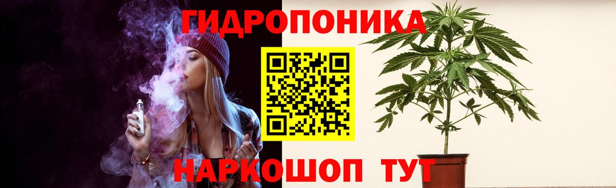Каннабис OG Kush Мурманск